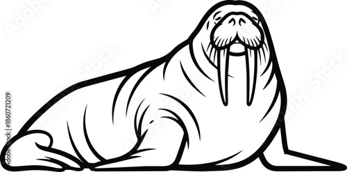 Cartoon walrus character flat design