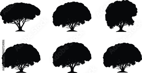 Six black silhouettes of trees with detailed branches and leafy canopies tree silhouette