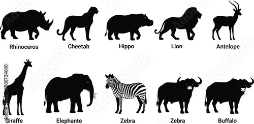 african, animal, silhouettes, wildlife, safari, mammals, set, collection, black, white, vector, illustration, rhinoceros, lion, giraffe, elephant, zebra, buffalo, cheetah, hippo