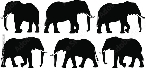 elephant, silhouettes, african, wildlife, animals, walking, poses, black, white, vector, illustration, safari, zoo, nature, fauna, mammal, collection, isolated, design, set