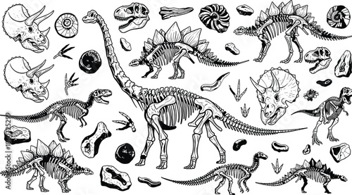 dinosaur, skeleton, illustration, fossil, set, prehistoric, bones, skull, jurassic, paleoart, extinct, reptiles, archaeology, science, anatomy, engraving, handdrawn, vintage, collection, black