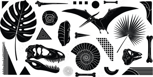prehistoric, silhouettes, dinosaur, fossils, pterosaur, leaves, geometry, abstract, collage, ancient, nature, science, illustration, vector, black, white, artwork, design, set, collection