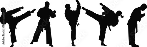 Black silhouettes of people in karate poses martial arts white background