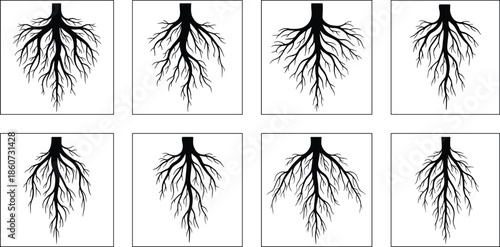 Black and white of branching tree roots in squares branching roots root system underground