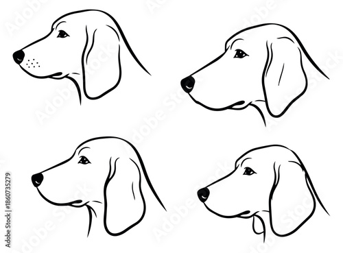 Hand drawn line art dog head illustrations set featuring different canine profiles for pet branding and animal-related designs
