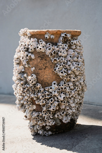 フジツボがくっ付いたタコ壺