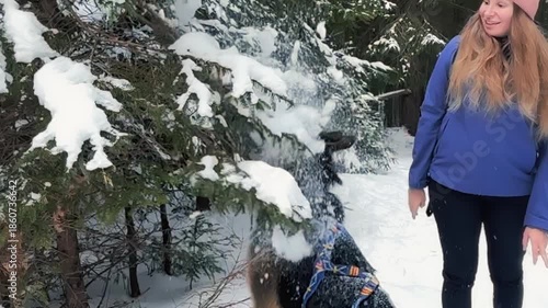 Girl with dog among trees covered with snow. Winter hike in mountains. Adventures in mountains.
