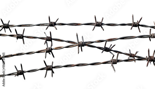 Wallpaper Mural Close-up of rusty, sharp barbed wire strands against a stark black background Torontodigital.ca