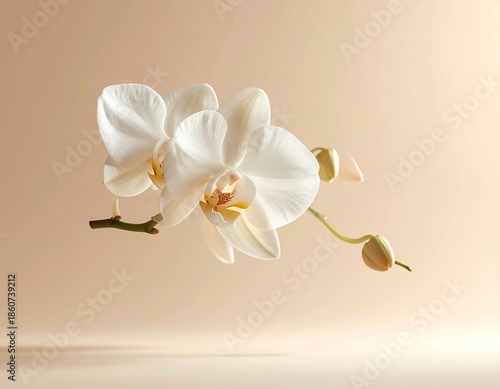Elegant white orchid flower floating on creamy nude background, minimalist premium botanical aesthetic.