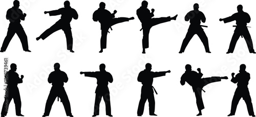 Silhouettes of men in karate stances and movements martial arts