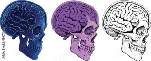 Colored skulls with brains in blue purple and black and white