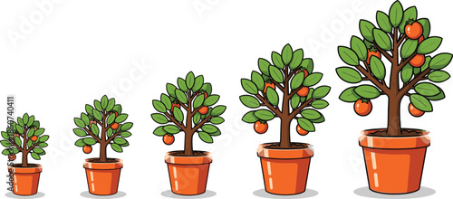 Cartoon orange trees in pots showing growth stages potted plants terracotta pots