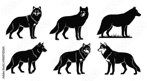 Black and white of wolves in different poses wolf animal
