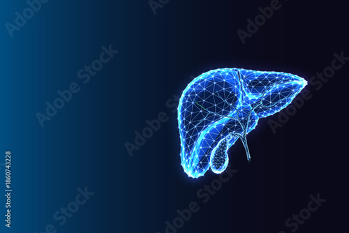 Digital Liver and Gallbladder Anatomy. Medical Tech, Hepatic System Low Poly Vector Illustration