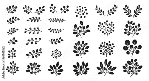 Collection of various black plant silhouettes for design elements and decorations.