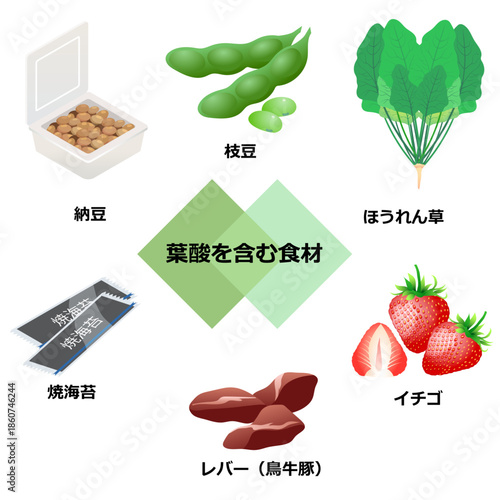 葉酸を含む食材