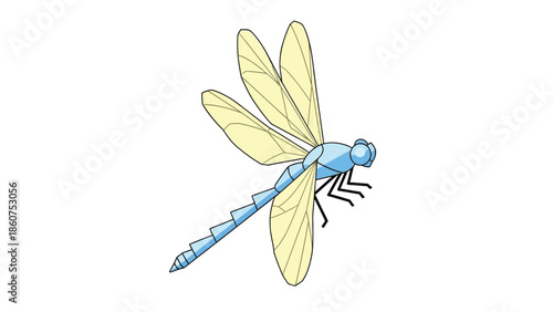 Dragonfly insect vector illustration with blue body and yellow wings isolated on white