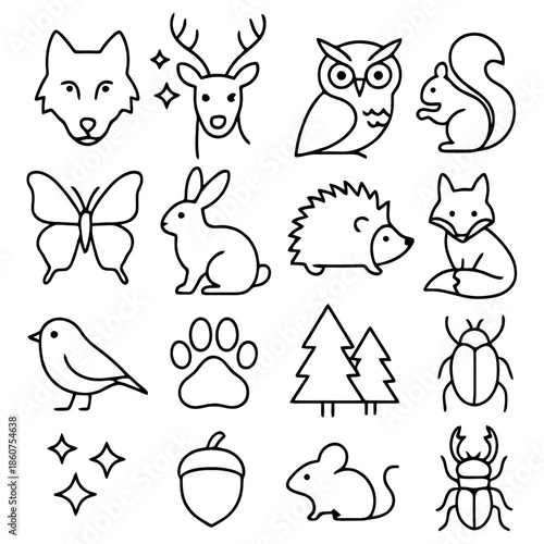 Forest Fauna Illustrations: A collection of meticulously crafted, minimalist line art illustrations showcases a variety of forest creatures and elements, perfect for design or educational purposes. 