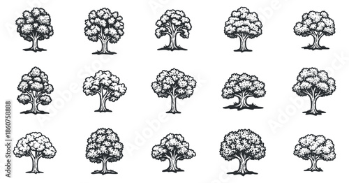 A set of 12 tree illustrations in detailed black and white outline style, perfect for eco-friendly design projects