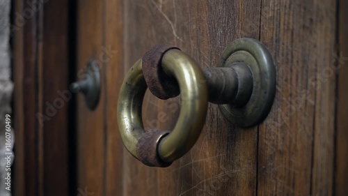 Close-up of an antique brass ring door knocker on a rustic wooden door, showing texture and detail.