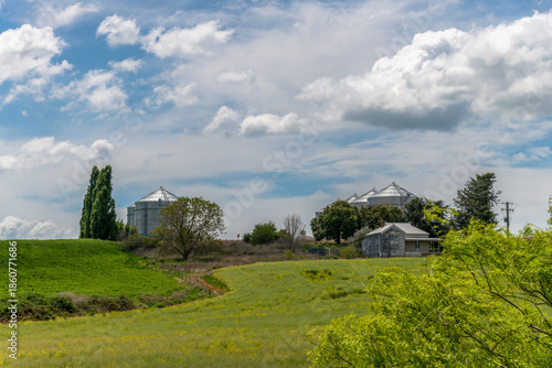 Tranquil Spring countryside in the Central West of NSW