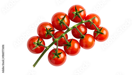 A vibrant cluster of ripe, red cherry tomatoes still attached to a green vine