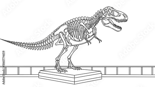 Grand Dinosaur Skeletal Reconstruction on Display in a Museum. transparent.