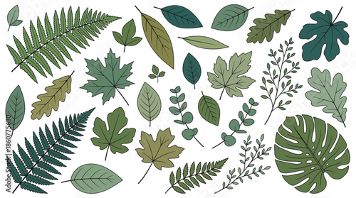Assorted botanical leaves pattern with green and brown foliage on white background, diverse leaf shapes and tropical plants illustration