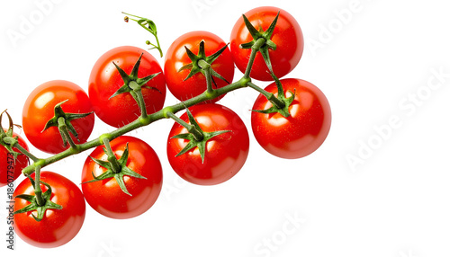 Vibrant red cherry tomatoes on vine against a black background, highlighting freshness