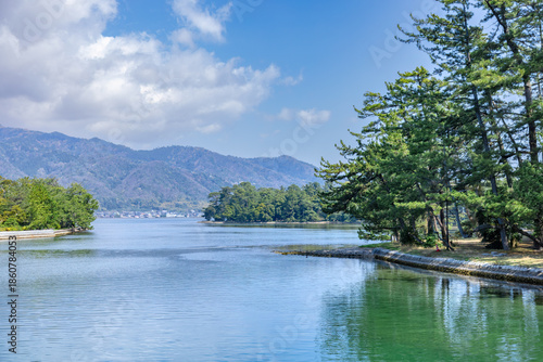 天橋立の松並木