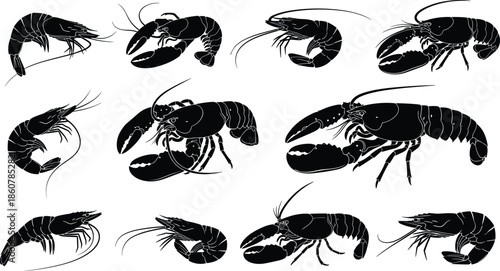 Lobster and shrimp silhouettes vector illustration set, marine crustacean seafood collection, ocean shellfish animal poses icons, black isolated on white background