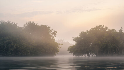 Papier peint photo Pantone 2025 Mocha Mousse Serene misty mangrove sunrise over calm water, soft pastel light and tranquil mood  © siraphol