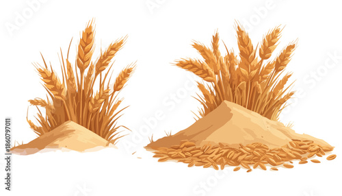 Illustration vectorielle de blé mûr et de grains de céréales sur un monticule de terre, prête pour la récolte, avec un fond transparent.