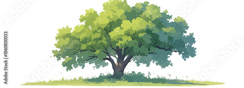 Illustration d'un grand arbre feuillu avec un feuillage vert luxuriant et un tronc robuste, isolé sur un fond transparent, symbolisant la nature et la croissance écologique.