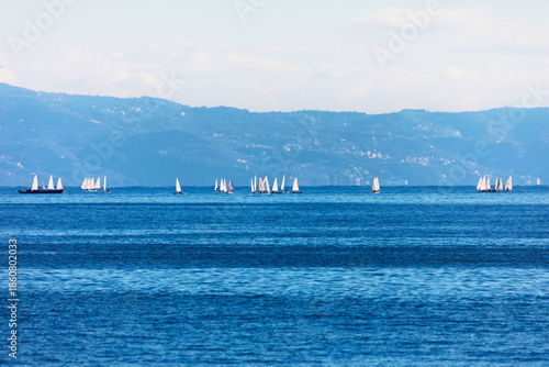 Sailing regatta on deep blue water, featuring numerous sailed boats racing against backdrop of large, hazy mountain. Dynamic nature combining active sport with expansive landscape of coastal area