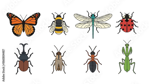 Collection of colorful cartoon insects including butterfly bee dragonfly ladybug beetle ant and