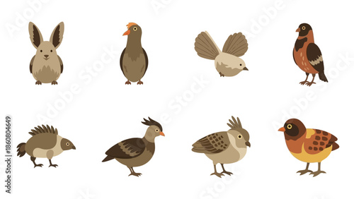 Collection of cute cartoon birds and a rabbit illustration on a white background