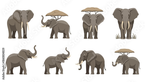 Collection of diverse elephant illustrations showcasing various poses and African tree elements