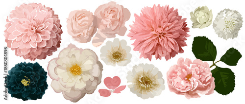 Coleção de flores variadas em tons de rosa, branco e verde-azulado, com folhas e pétalas, elementos de design isolados para uso criativo.