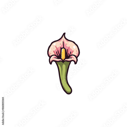 flat icon illustration color 10