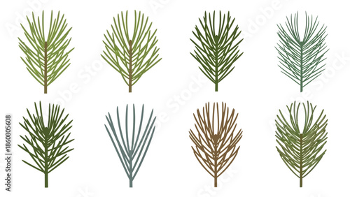 Collection of stylized pine needle branches in various green and brown hues