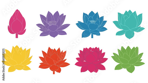 Collection of vibrant lotus flower illustrations in various colors and stages of bloom