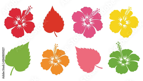 Collection of vibrant hibiscus flowers and leaves in various colors set against a white background