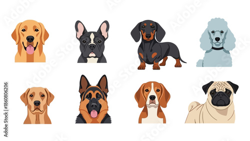 Diverse collection of dog breed portraits in a clean vector art style