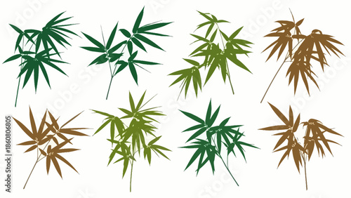Set of stylized bamboo branches in green and brown on a white background