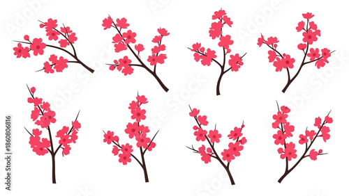 Set of stylized pink cherry blossom branches against a white background