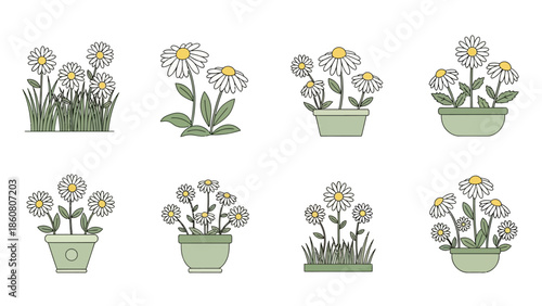 A collection of adorable daisy illustrations in pots and in grass
