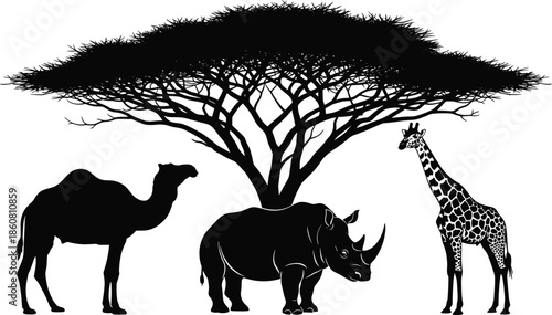 Savanna wildlife silhouette, acacia tree, camel, rhinoceros, giraffe, black vector illustration, nature scene, animal ecosystem, African landscape, minimal design
