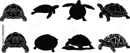 Sea turtle silhouette vector illustration set, black wildlife reptile icons collection, isolated marine animal design for logo tattoo print branding