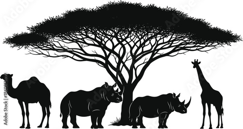 African savanna silhouette, acacia tree, camel, rhinoceros, giraffe, wildlife vector, nature scene, black and white, ecosystem, safari animals, landscape
